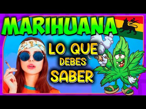 MARIHUANA 🚬 Peligros, beneficios, precio, legal, multas, etc…