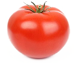 Tomate