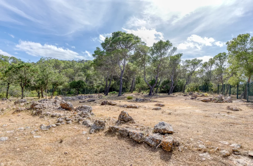 Fotografía del Yacimiento de Sa Penya Esbarrada